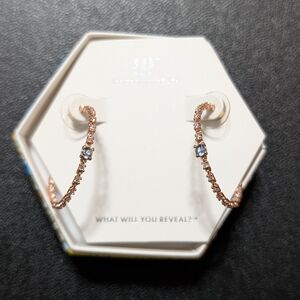 November 2023 Birthday Hoops - Incredible Beauty - RBP6686 - Bomb Party